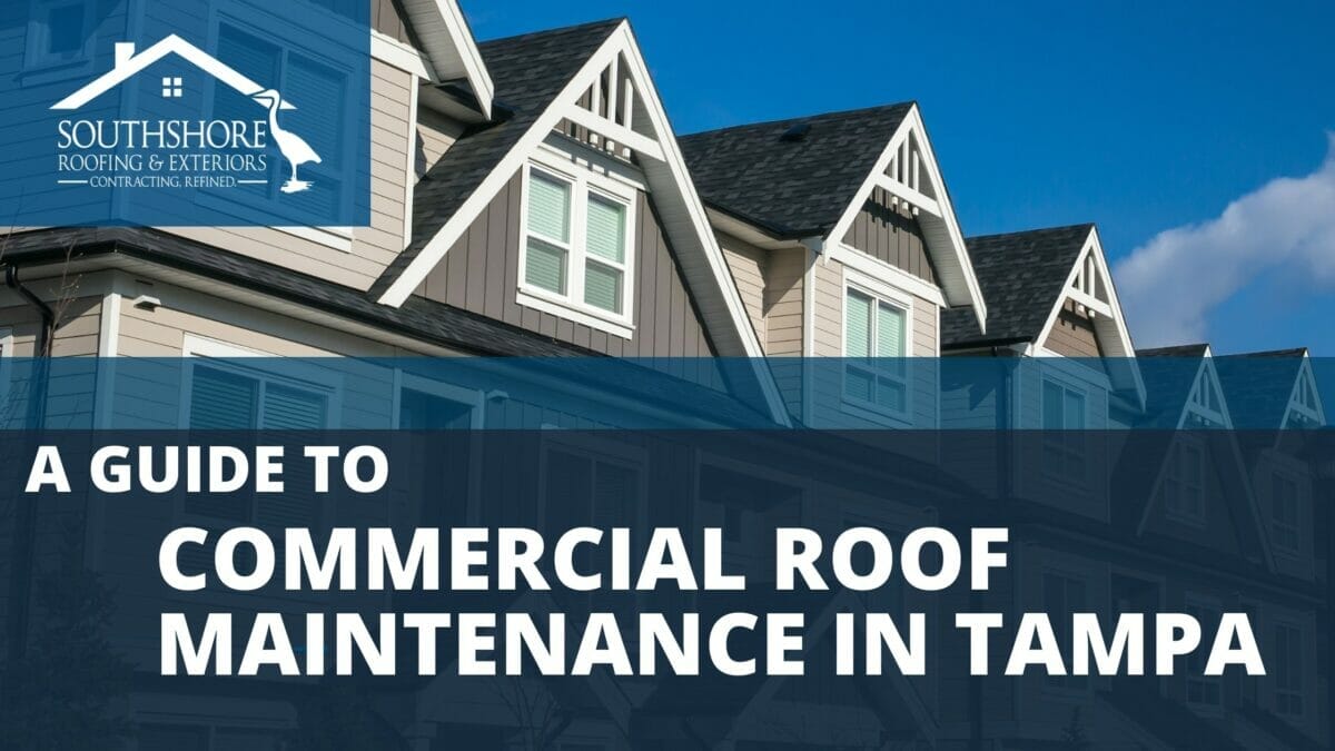 A Guide To Commercial Roof Maintenance In Tampa, FL
