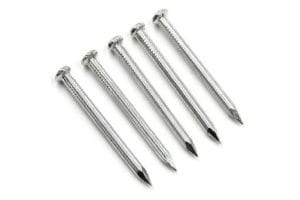  Stainless Steel Nails