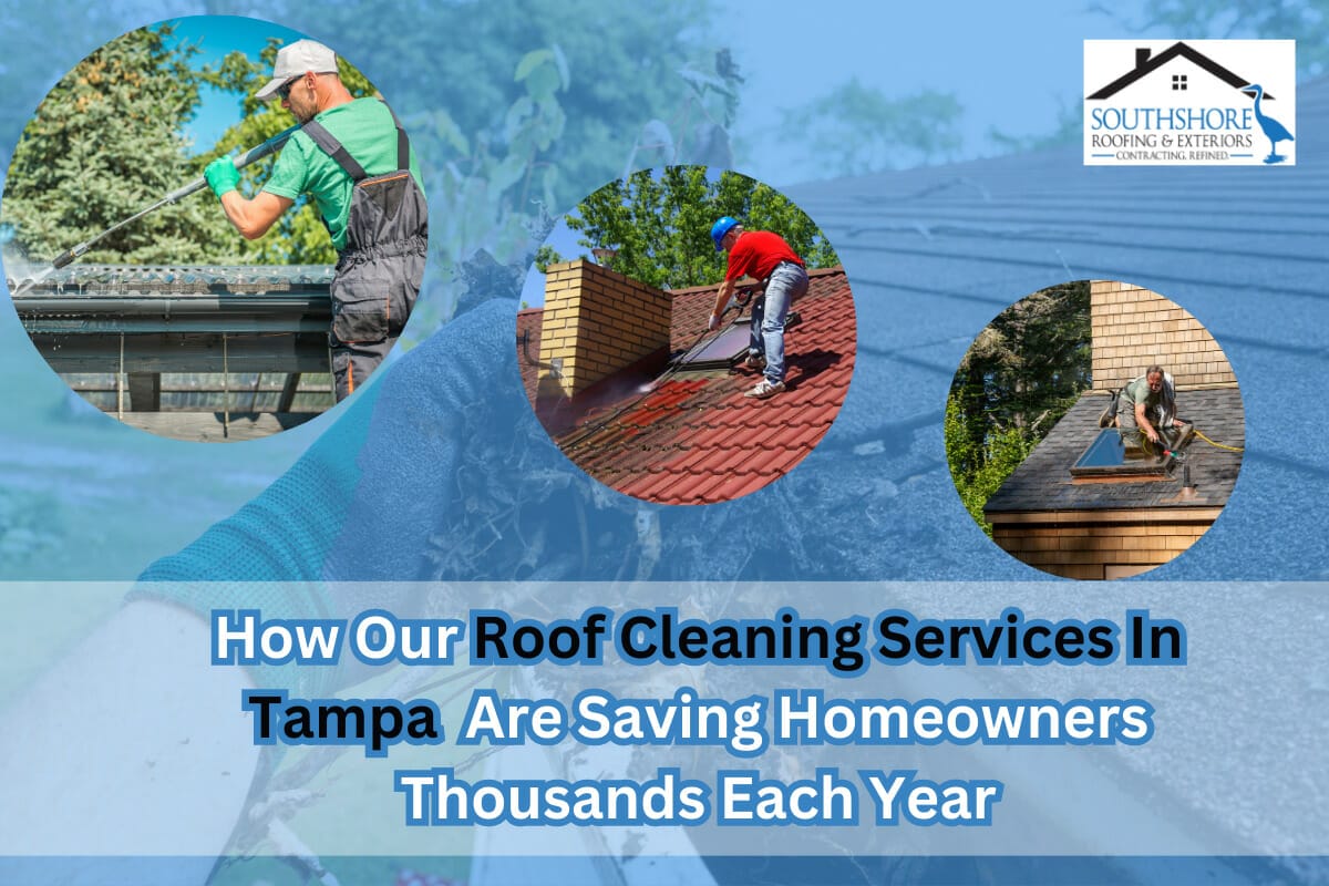 How Our Roof Cleaning Services In Tampa Are Saving Homeowners Thousands Each Year