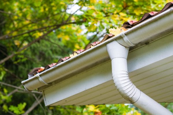 Gutter And Downspout Maintenance In Tampa