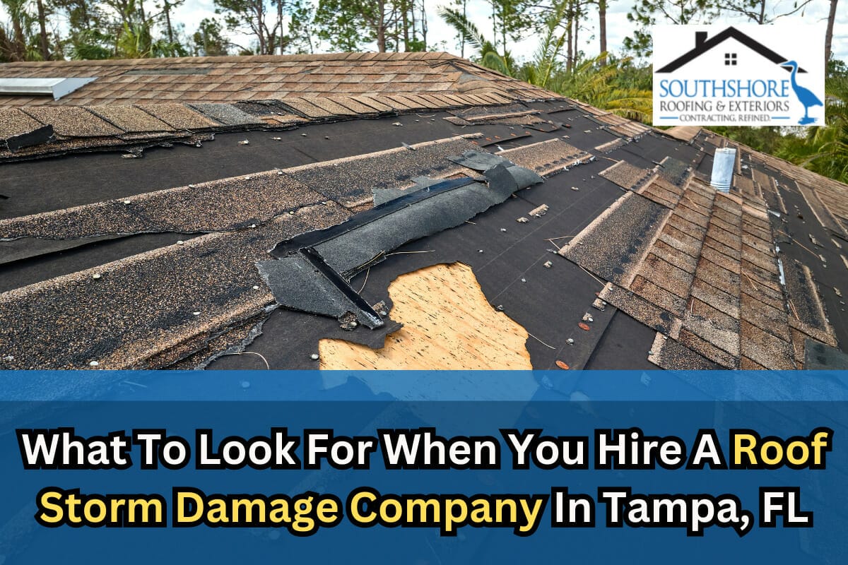 What To Look For When You Hire A Roof Storm Damage Company In Tampa, FL