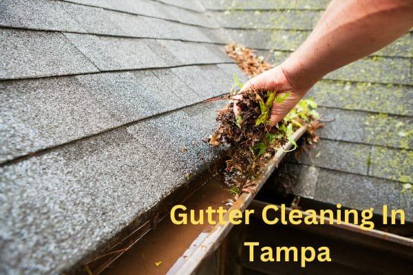 Gutter Cleaning In Tampa