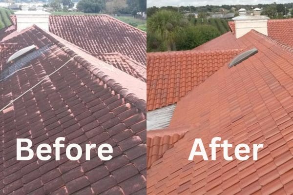 Clean Your Tile Roofs
